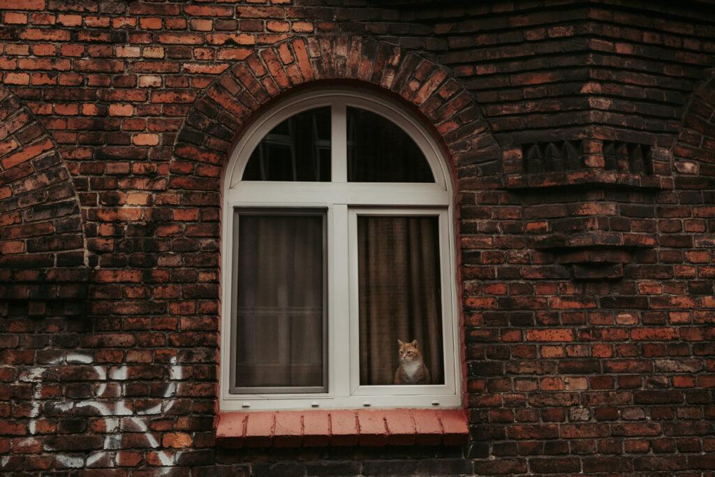 Nikiszowiec - charakterystyczne okna