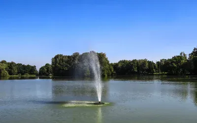 Jezioro z fontanną w parku w Świerklańcu