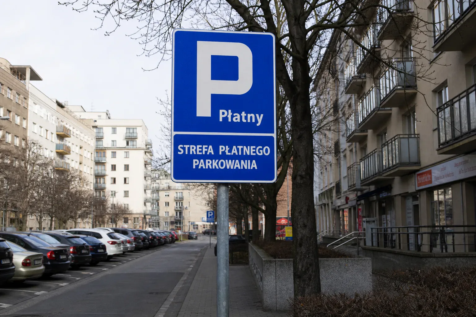 Znak D-44 wjazd do strefy płatnego parkowania