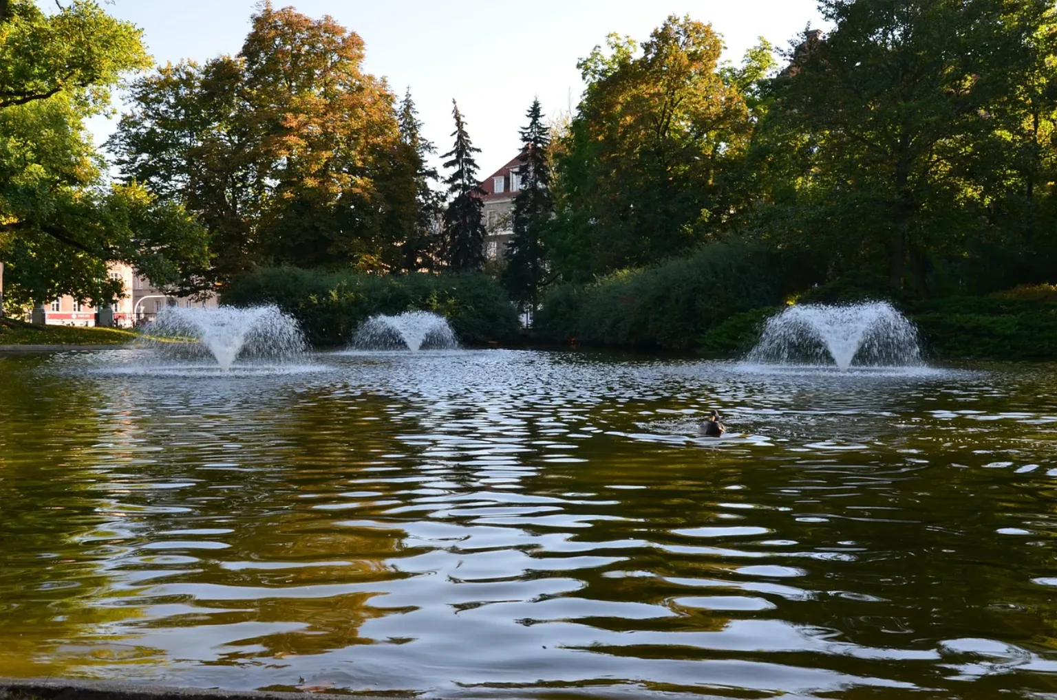 Park Repecki Tarnowskie Góry