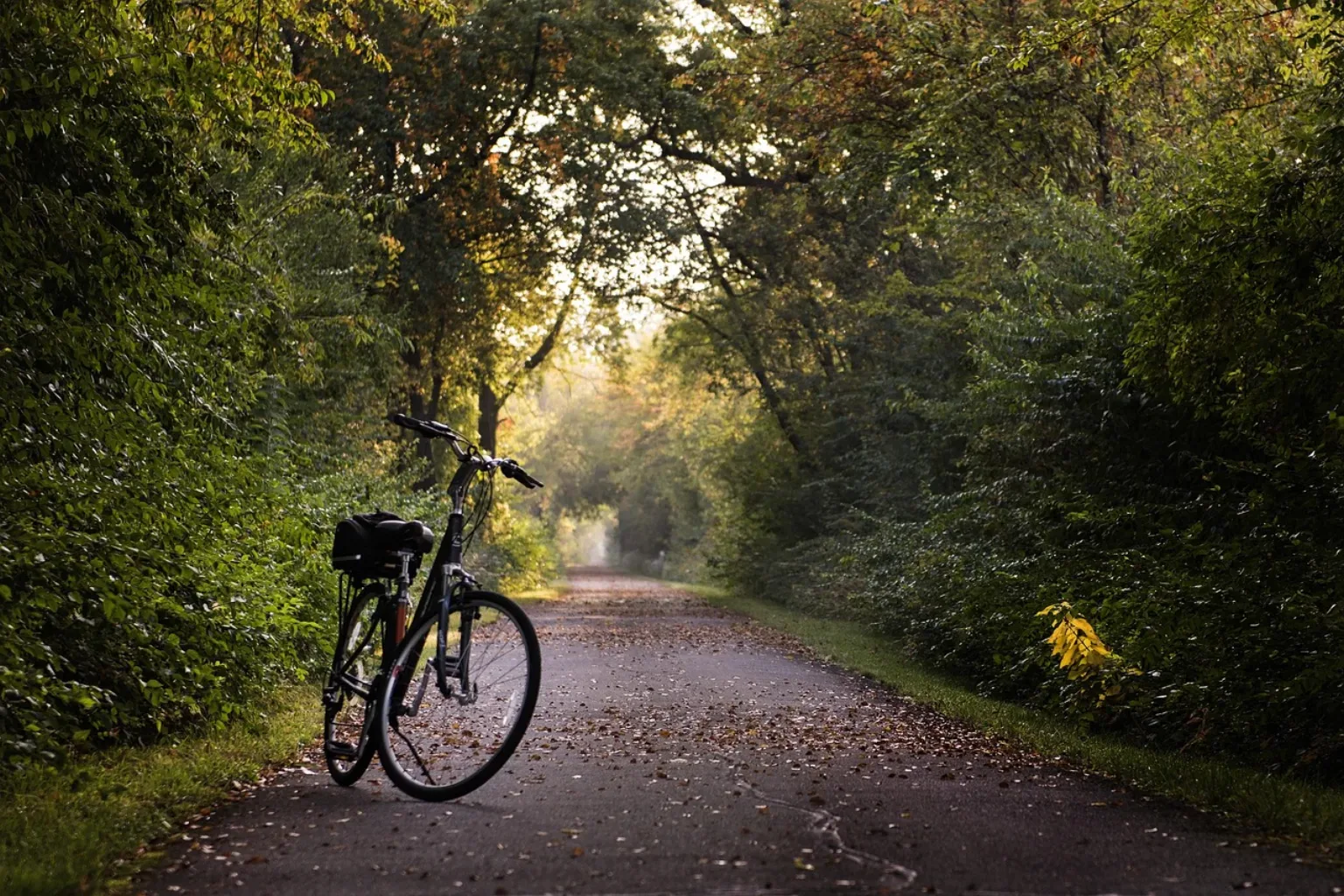 Punkt startowy Velostrady Park Śląski Katowice