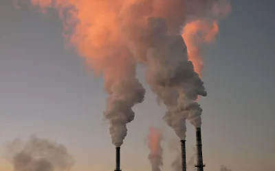 Smog Katowice