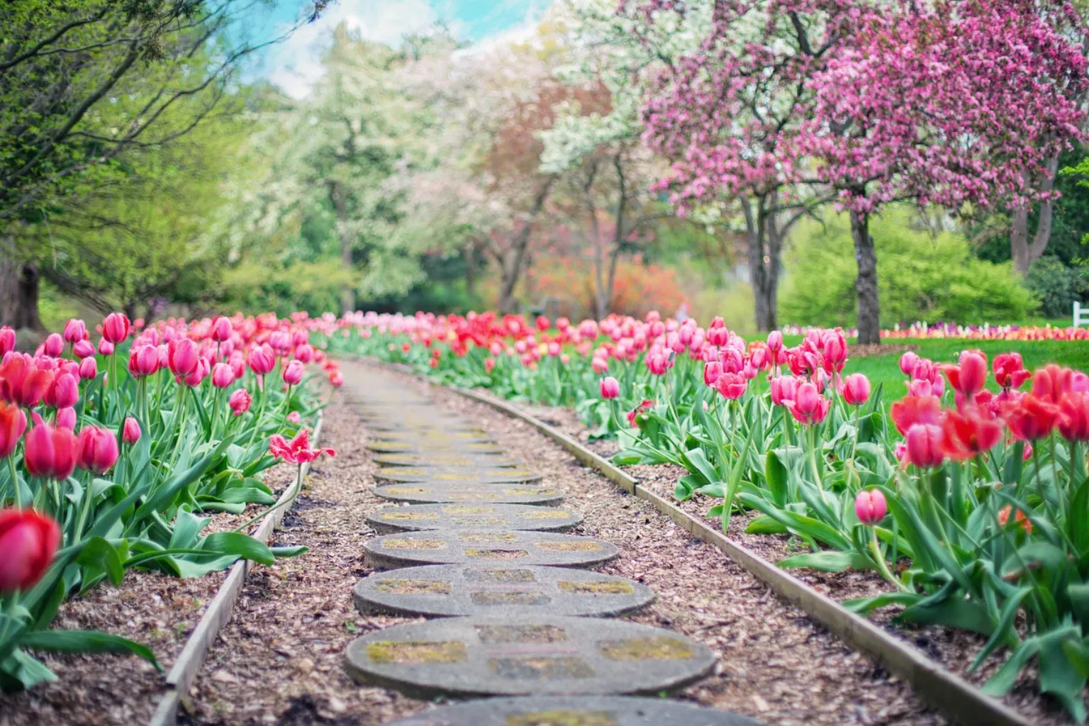 Śląski Ogród Botaniczny Mikołów