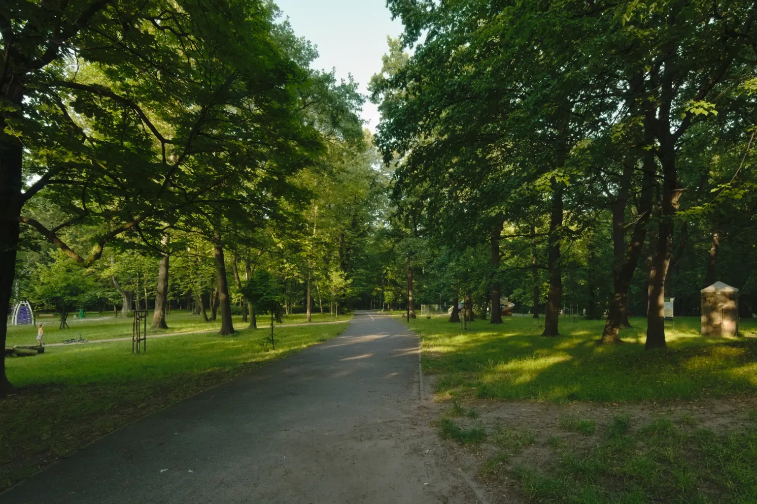Park Skałka Świętochłowice zieleń miejska