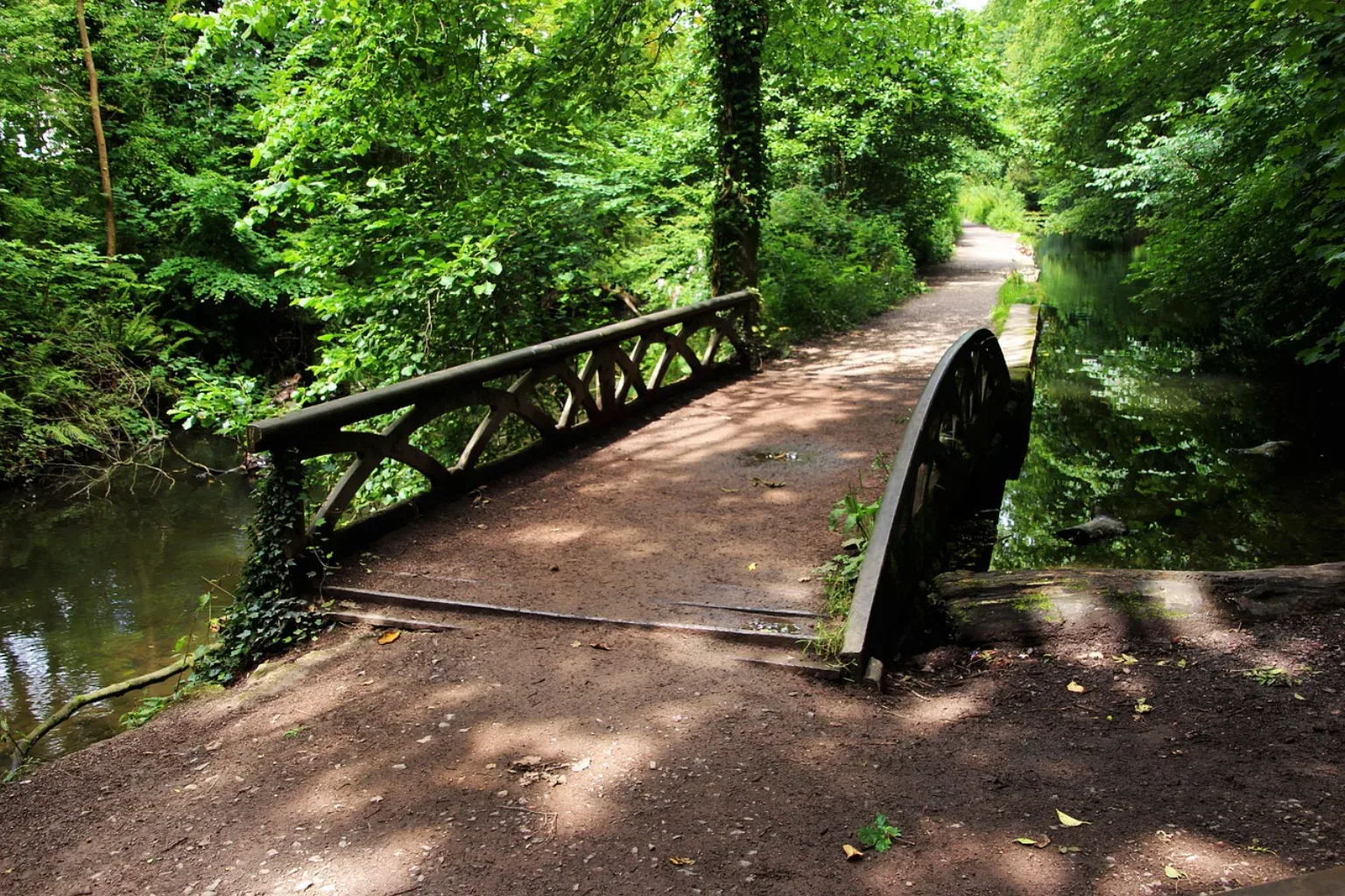 Park Strzelnica Ruda Śląska jezioro