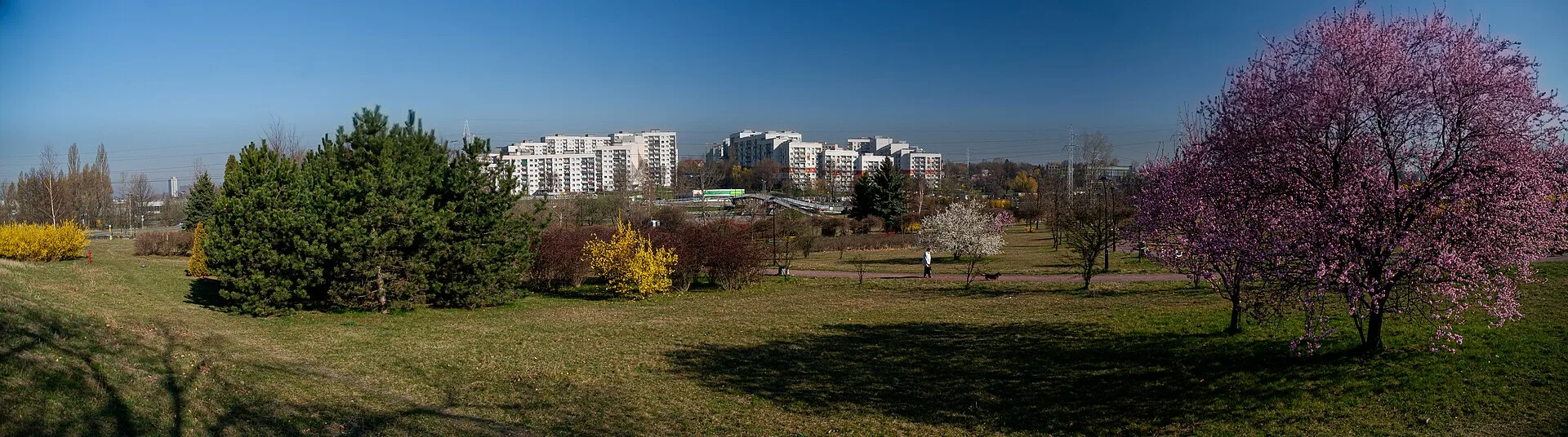 Mieszkanie za remont Sosnowiec