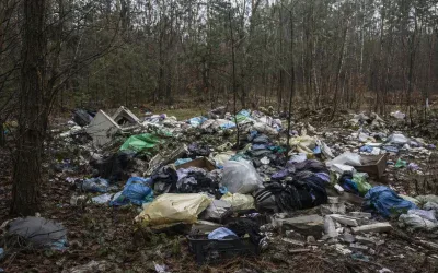Nielegalne wysypisko śmieci w lesie, apel policji
