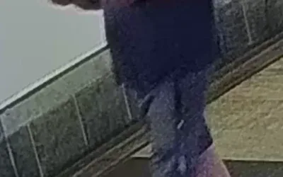 Podpalenie auta w Gliwicach: Policja szuka sprawcy (zdjęcia)