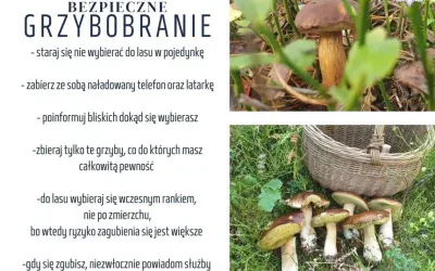 Bezpieczne grzybobranie na Śląsku: Porady policji